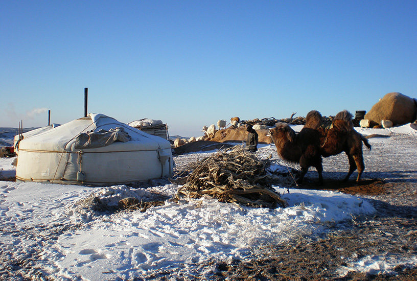 Mongolia - Photo 5 of 12